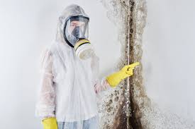 Biohazard Mold Removal in Larksville, PA